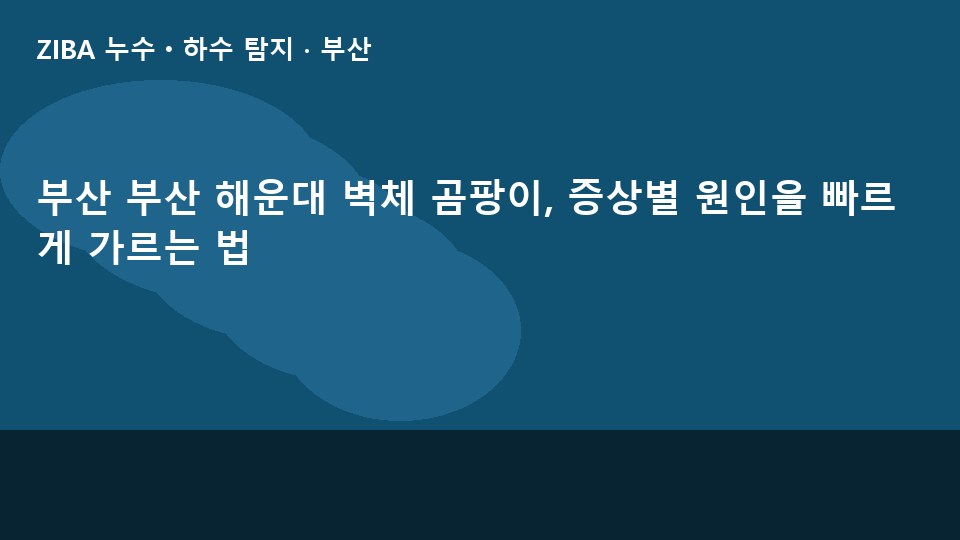 부산 부산 해운대 벽체 곰팡이, 증상별 원인을 빠르게 가르는 법