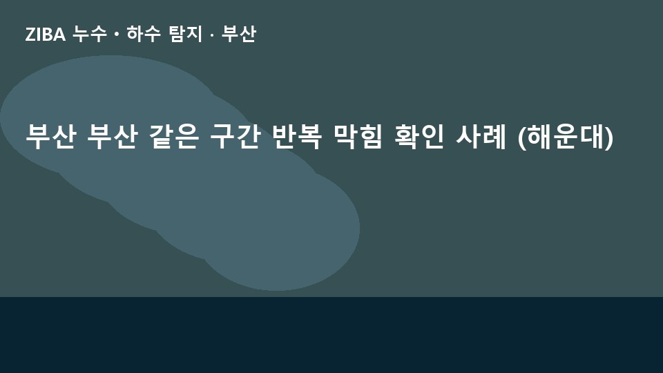부산 부산 같은 구간 반복 막힘 확인 사례 (해운대)