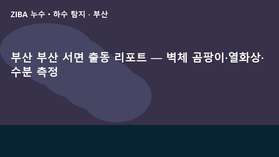 부산 부산 서면 출동 리포트 — 벽체 곰팡이·열화상·수분 측정