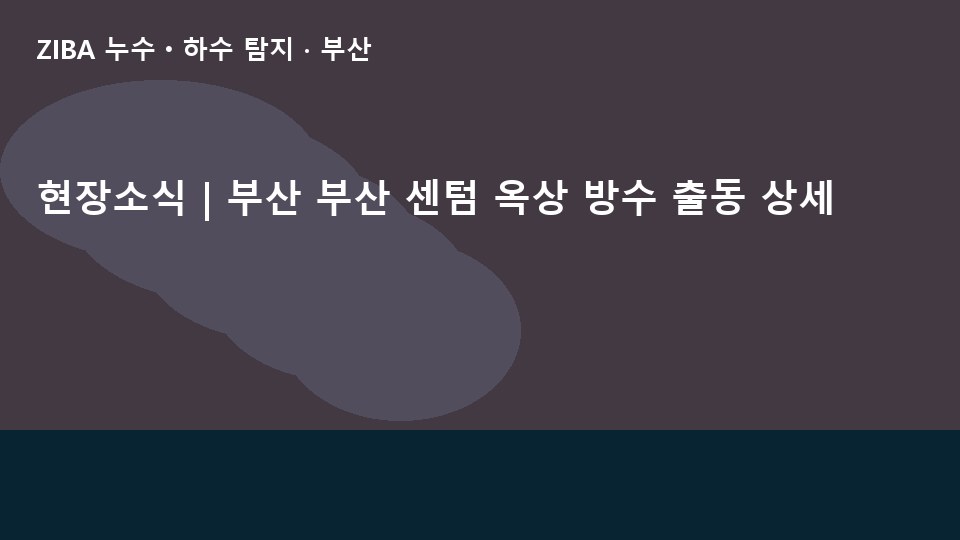 현장소식 | 부산 부산 센텀 옥상 방수 출동 상세