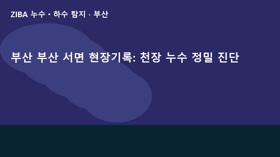 부산 부산 서면 현장기록: 천장 누수 정밀 진단