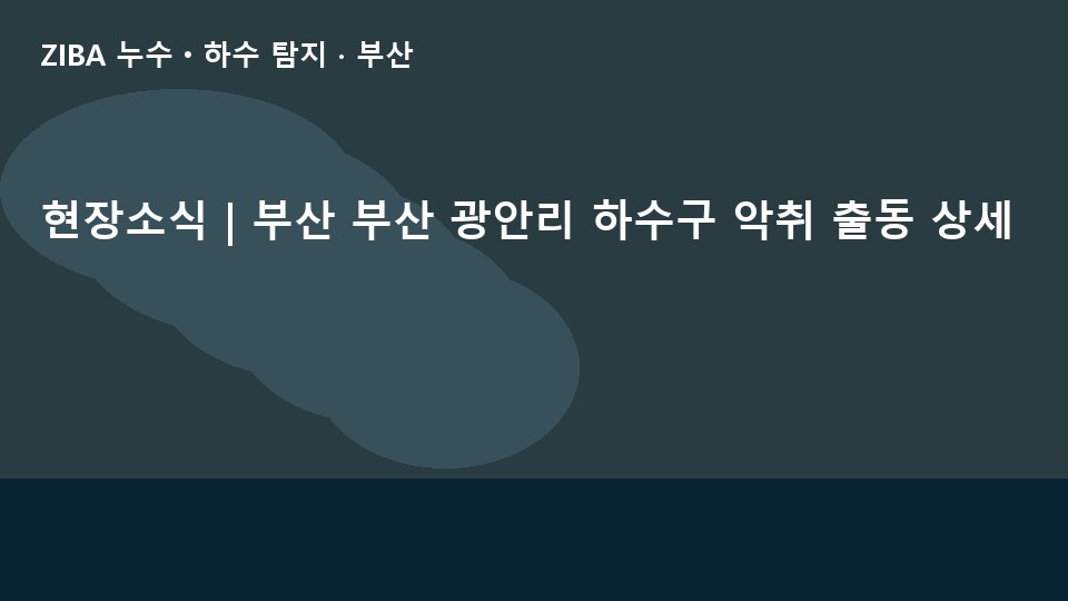 현장소식 | 부산 부산 광안리 하수구 악취 출동 상세